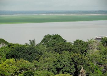 Las crisis han hecho a los humanos más resilientes