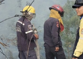 Un incendio de estructura y un incendio de vegetación ocurrieron en Mérida en dos días