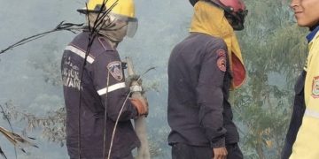 Un incendio de estructura y un incendio de vegetación ocurrieron en Mérida en dos días