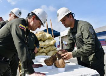 Incautan en Colombia cargamento de 176 kilos de cocaína diluida en cocos que iban a España