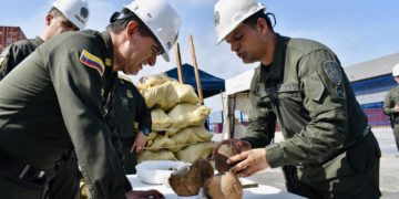Incautan en Colombia cargamento de 176 kilos de cocaína diluida en cocos que iban a España