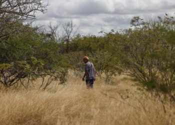 Brasil se suma a la alianza internacional para combatir la desertificación y la sequía