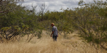 Brasil se suma a la alianza internacional para combatir la desertificación y la sequía