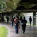 Disminuye el número de estudiantes que planea emigrar después de graduarse, según estudio de la UCAB