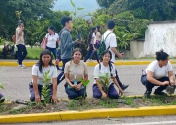 ¡247 árboles sembrados! | Inicia el Plan Nacional de Reforestación con la participación de las instituciones educativas de Carvajal