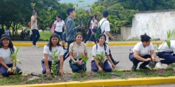 ¡247 árboles sembrados! | Inicia el Plan Nacional de Reforestación con la participación de las instituciones educativas de Carvajal
