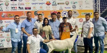 Granja Samán Boconó arrasa en Feria Internacional Ovina – Caprina Barquisimeto 2024