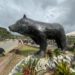 Boconó | Inauguran plazoleta en honor al Oso Frontino