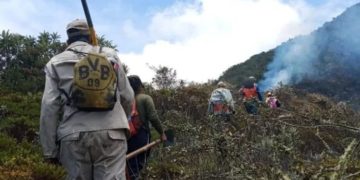 Denuncian daños ambientales en Boconó