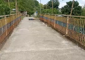 Riesgo de colapso puente «La Caribean» de Motatán