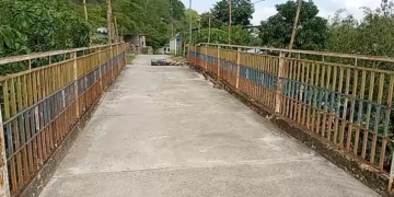 Riesgo de colapso puente «La Caribean» de Motatán