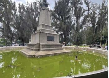 Plaza Glorias Patrias es un criadero de insectos