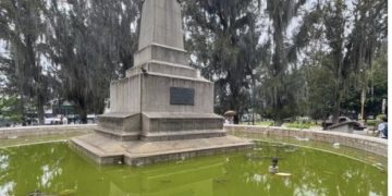 Plaza Glorias Patrias es un criadero de insectos
