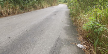 Tensa calma entre los políticos que participaron en elecciones del 28 ante resultados electorales