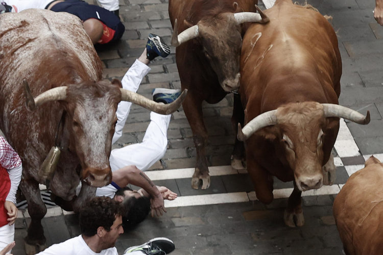 Los toros recorren el centro de Pamplona en el quinto encierro de los Sanfermines este jueves. EFE/Jesús Diges
