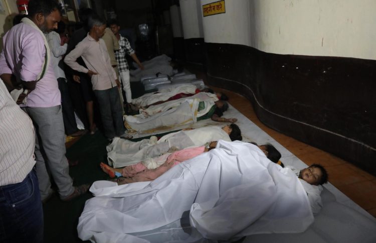 Los cuerpos de las víctimas de una estampida yacen en el hielo a la espera de ser identificados en un hospital de Hathras, Uttar Pradesh (India),este miércoles. Las autoridades estatales dijeron que al menos 100 personas, incluidas mujeres y niños, murieron en una estampida en un evento religioso o 'Satsang' en Hathras, Uttar Pradesh. EFE/ Harish Tyagi