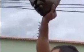 Destruyen busto de Hugo Chávez en El Vigía