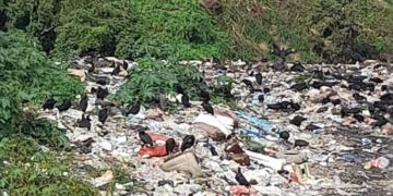 Máquina que hacía mantenimiento al basurero de Boconó se encuentra averiada