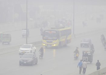 20 años de políticas climáticas: un estudio analiza qué funciona y qué no