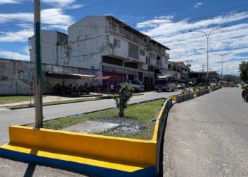 Alcaldía de Sucre cumple con trabajos de embellecimiento en Sabana de Mendoza