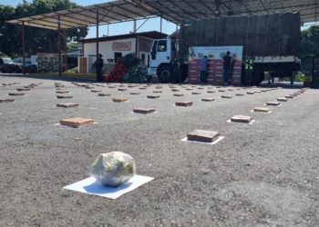Detectado por la FANB camión feriero cargado de droga