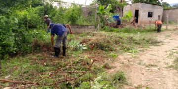 En Sucre no cesa la limpieza de calles y funcionamiento de alumbrado publico