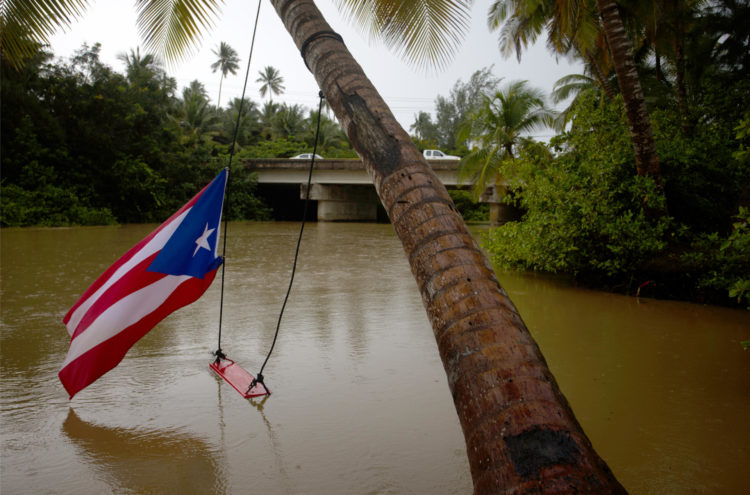 Fotografía de una bandera puertorriqueña y un columpio colgados de un árbol durante el paso del huracán Ernesto, en la desembocadura del río Hernández, este miércoles en Loiza, Puerto Rico. EFE/Thais Llorca