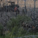 Texas amplía su controversial alambrada antimigrantes en la frontera con México