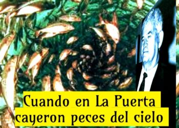 Cuando en La Puerta, cayeron peces del cielo / Por Oswaldo Manrique