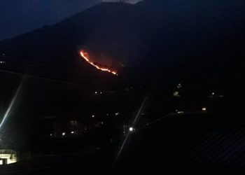Denuncian incendio forestal en Las Guayabitas
