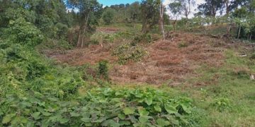 Minec investiga presunto ilícito ambiental en Boconó
