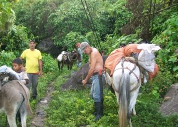 Boconó | Invitan a asesoramiento legal en materia agraria en Las Negritas