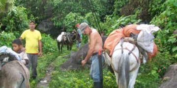 Boconó | Invitan a asesoramiento legal en materia agraria en Las Negritas