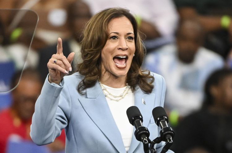 Fotografía del 30 de julio de 2024 de la vicepresidenta de Estados Unidos, Kamala Harris, hablando durante un acto de campaña en Georgia, Atlanta (EE.UU). EFE/Edward M. Pio Roda