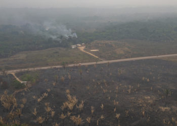 Incendios han calcinado este año casi siete millones de hectáreas en la Amazonía brasileña