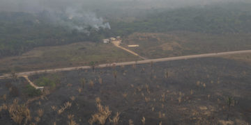 Incendios han calcinado este año casi siete millones de hectáreas en la Amazonía brasileña