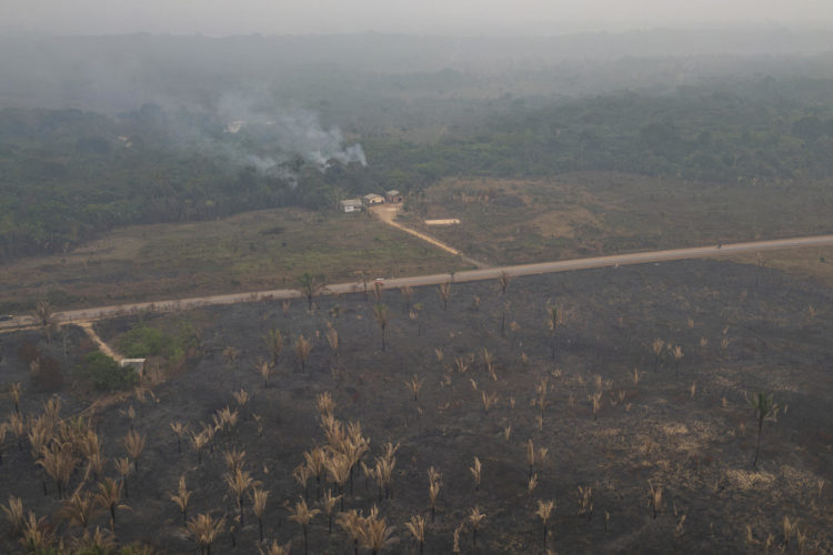 Fotografía aérea de un incendio forestal cerca a viviendas este 9 de septiembre de 2024, en Porto Velho (Brasil). EFE/ Isaac Fontana