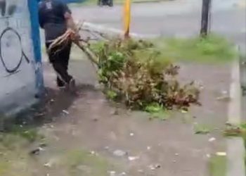 Denuncia | Mujer cree que tener varios “títulos” le da derecho a botar basura en lugares públicos de El Vigía
