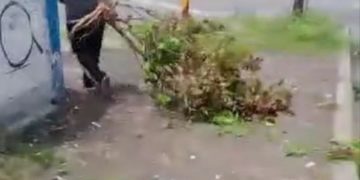 Denuncia | Mujer cree que tener varios “títulos” le da derecho a botar basura en lugares públicos de El Vigía