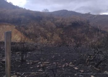 La lluvia llegó para extinguir el incendio en Tovar
