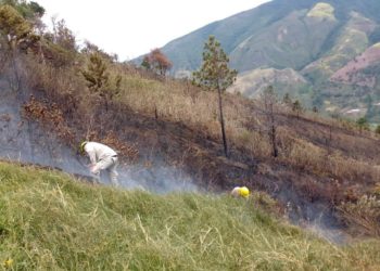Siete incendios de vegetación dejaron serios daños en el Valle del Mocotíes, El Vigía y Mérida