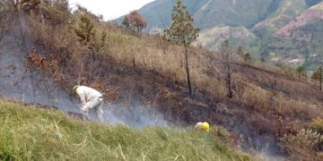 Siete incendios de vegetación dejaron serios daños en el Valle del Mocotíes, El Vigía y Mérida