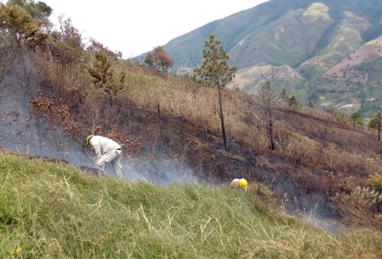 Incendios azotaron la entidad merideña