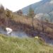 Siete incendios de vegetación dejaron serios daños en el Valle del Mocotíes, El Vigía y Mérida