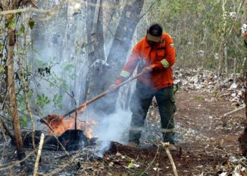 El humo de los incendios forestales ahoga a comunidades enteras en el oriente de Bolivia