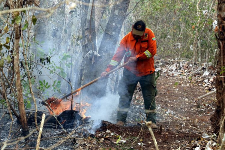 Un bombero mitiga los restos de un incendio este miércoles 11 de septiembre de 20204 en San Miguelito (Bolivia). EFE/ Juan Carlos Torrejón