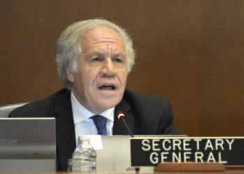 La OEA condena la petición de captura de Edmundo González y pide respuesta internacional