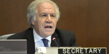 La OEA condena la petición de captura de Edmundo González y pide respuesta internacional