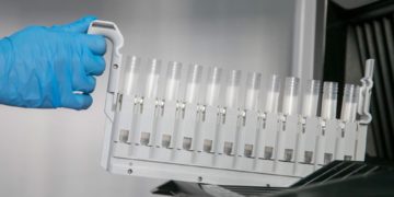 Los científicos alertan ante la amenaza mundial de las enfermedades causadas por hongos