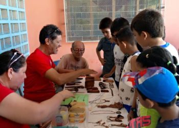 Plan Agosto Escuelas Abiertas: Un Mes de Aprendizaje y Diversión para Todos